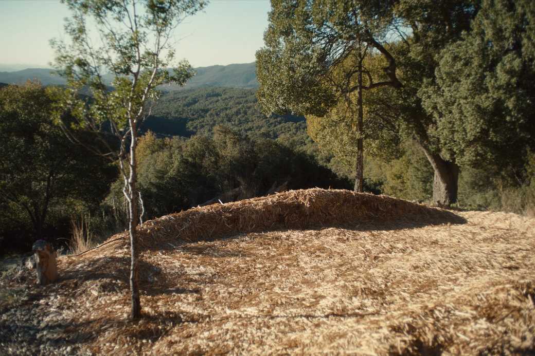 Ashe juniper cleared and mulched on a Hill Country hillside