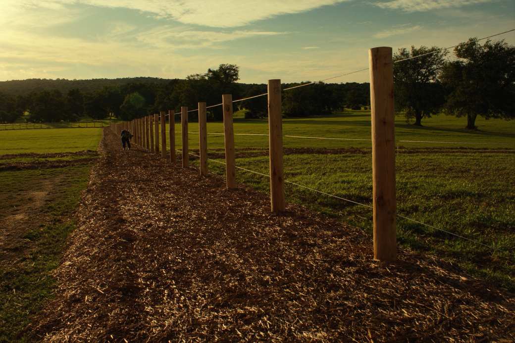 Cleared fence-line corridor