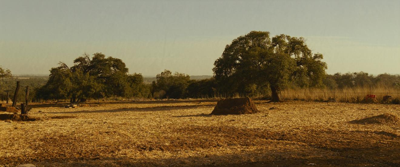 Cleared, mulched acreage ready to use