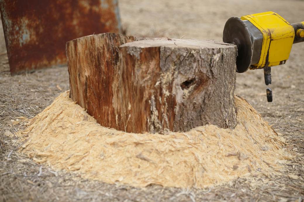 Stump ground below grade